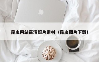 东海昆虫网站高清照片素材（昆虫图片下载）